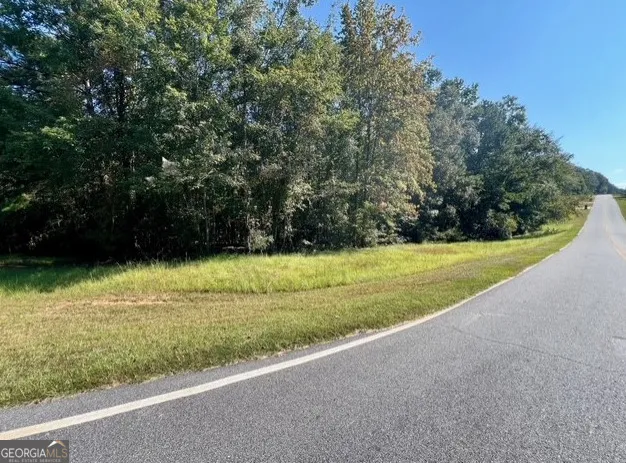 a view of outdoor space with yard