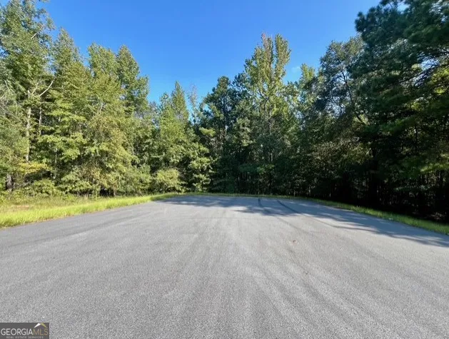 a view of a garden with an outdoor space