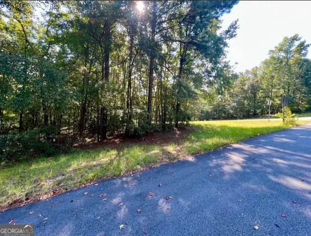 a view of a yard with plants and trees