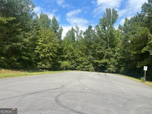 a view of a yard with a trees