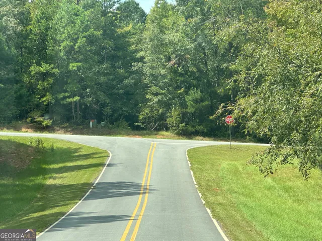 a view of a swimming pool with a garden