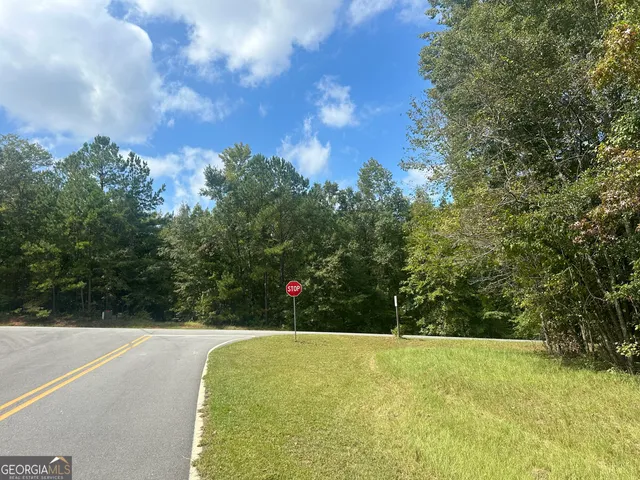 a view of a yard with a house in the background