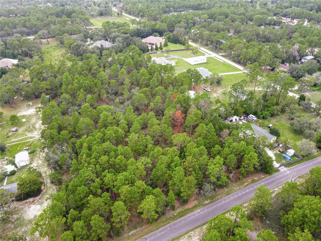 5411 Nodoc Road Spring Hill, FL 34609 - Photo 2 of 7