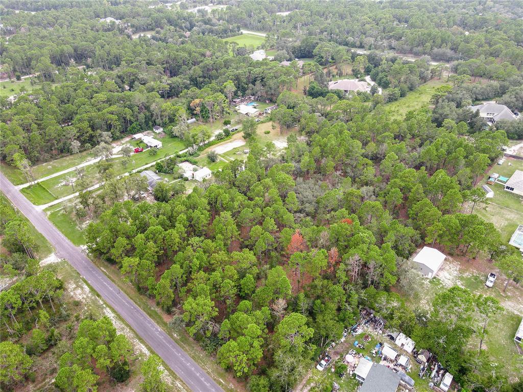 5411 Nodoc Road Spring Hill, FL 34609 - Photo 3 of 7 a view of a forest with a tree