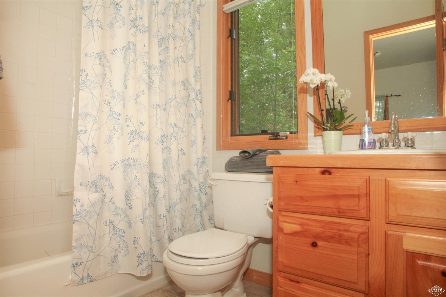 120 Hereford Road, Unit W Edwards, CO 81632 - Photo 19 of 21 Additional Photo