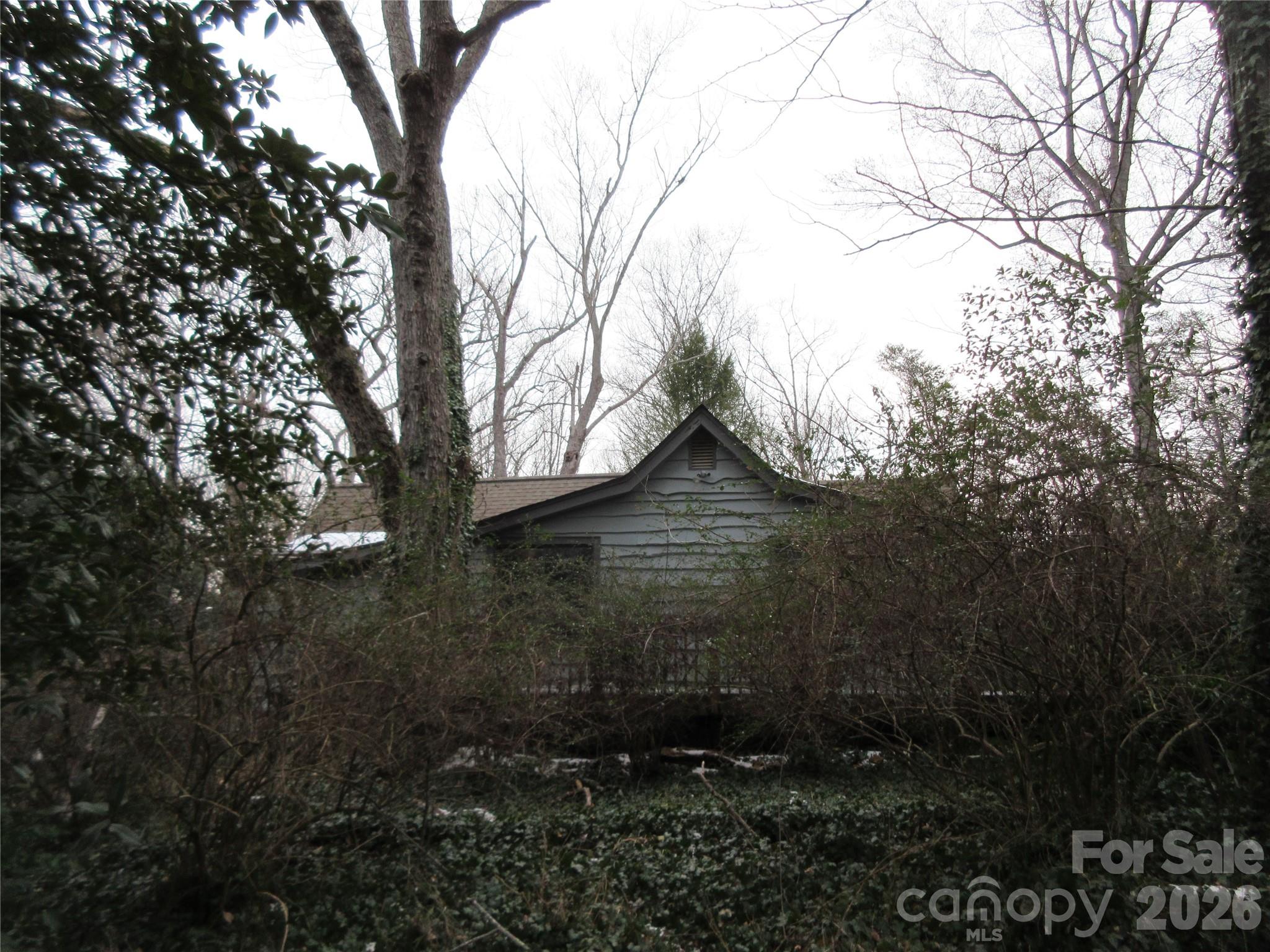 31 Ford Ridge Lane Columbus, NC 28722 - Photo 5 of 21 a view of a backyard of the house