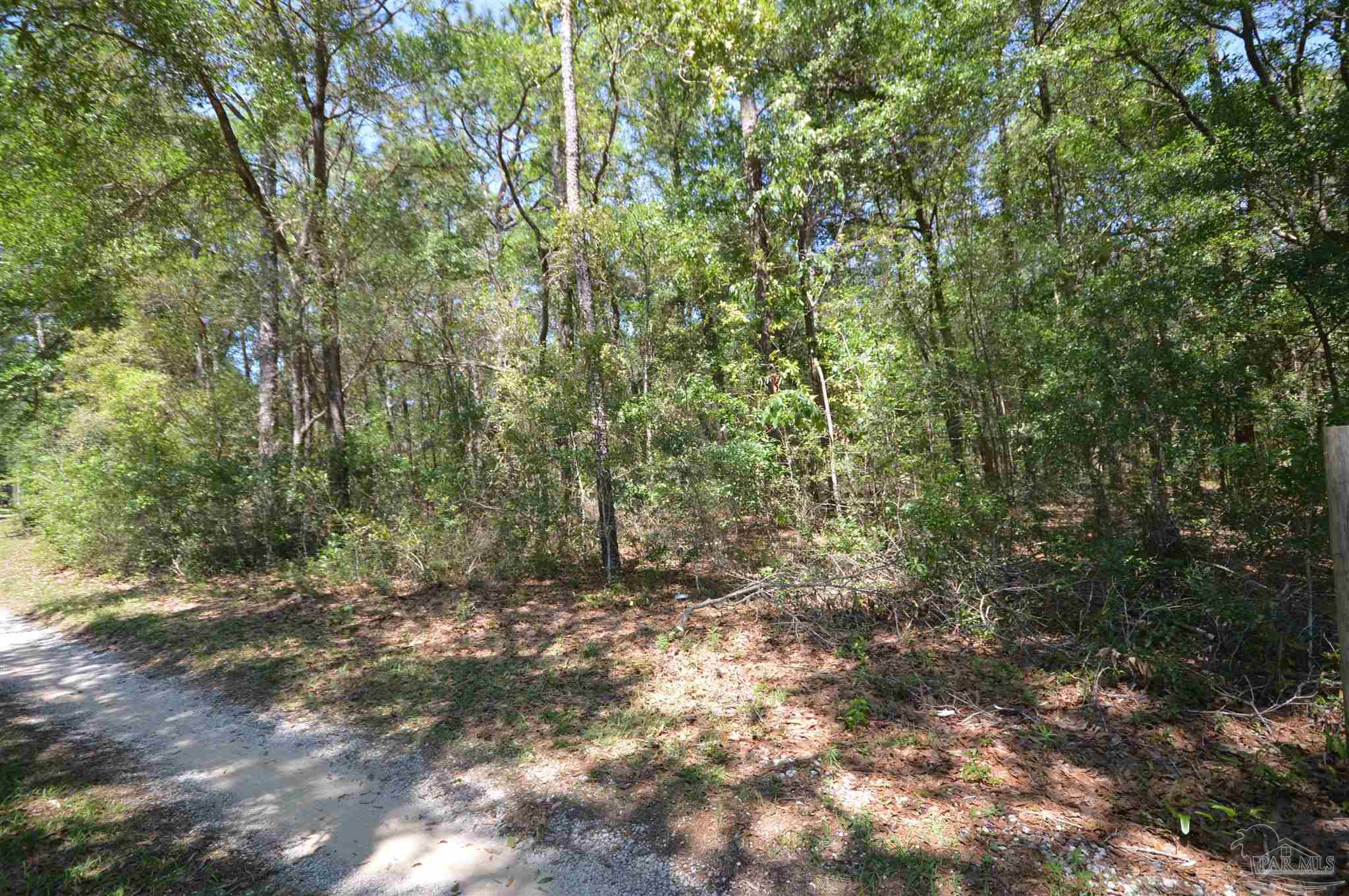 6004 Willard Norris Road Milton, FL 32570 - Photo 4 of 41 Gallery Image 4