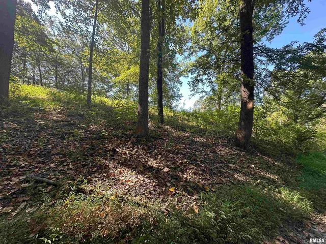 $119,900 | 1010 Woods Road, Buncombe, IL 62912