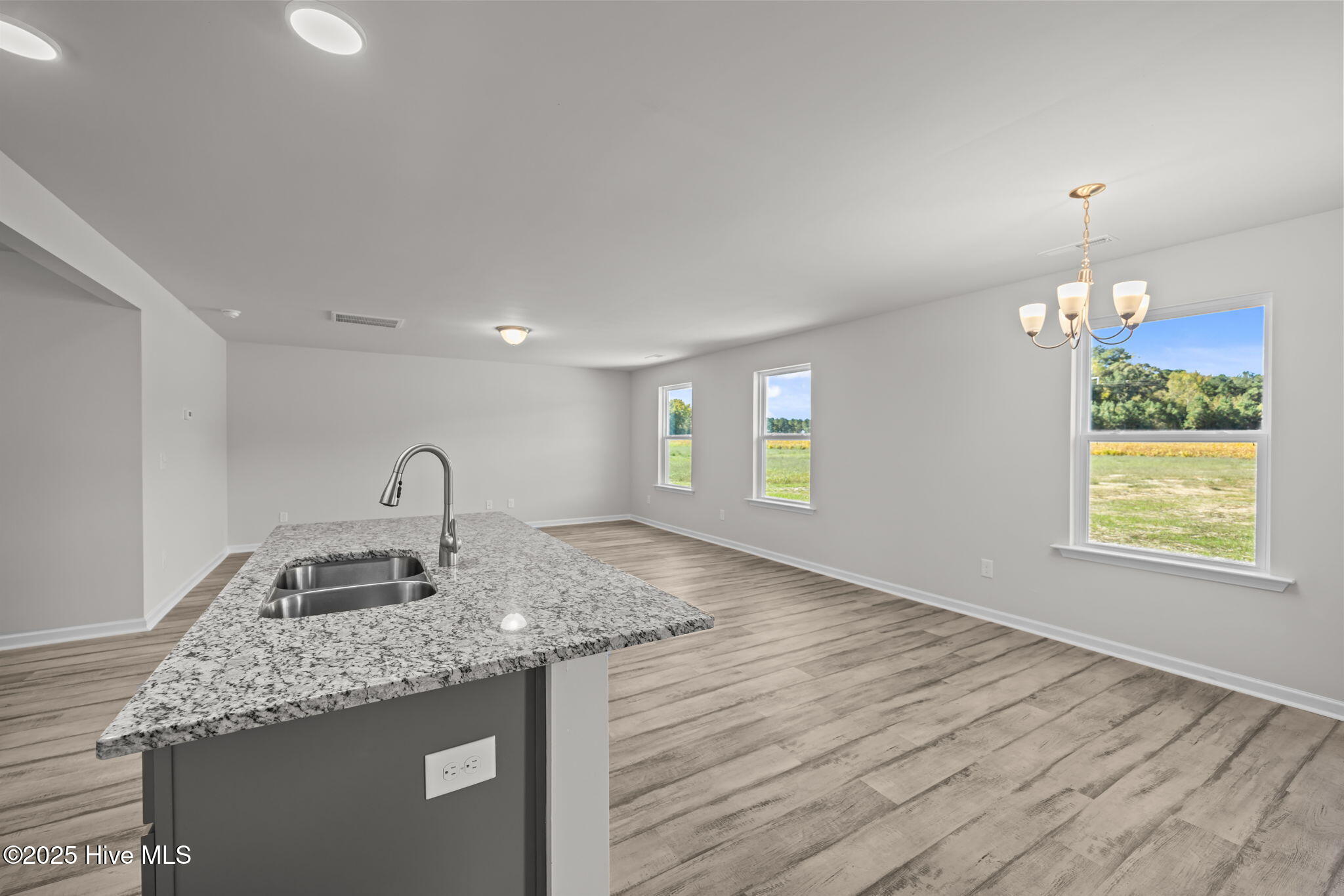 2220 McNair Road Tarboro, NC 27886 - Photo 14 of 33 not this house but the same plan and interior options