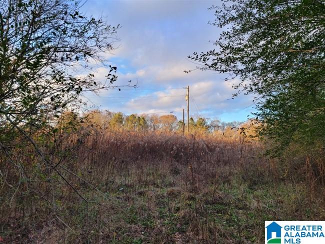 2194 County Road 818 Logan, AL 35098 - Photo 4 of 8