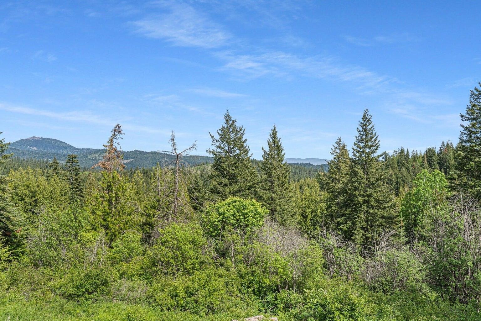 16027 North Koth Road Newman Lake, WA 99025 - Photo 40 of 48