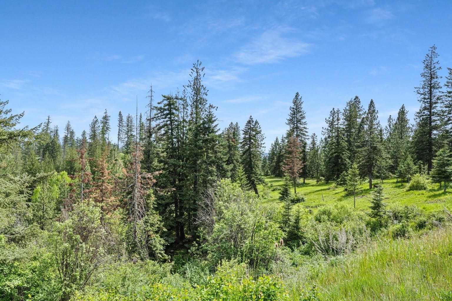 16027 North Koth Road Newman Lake, WA 99025 - Photo 41 of 48