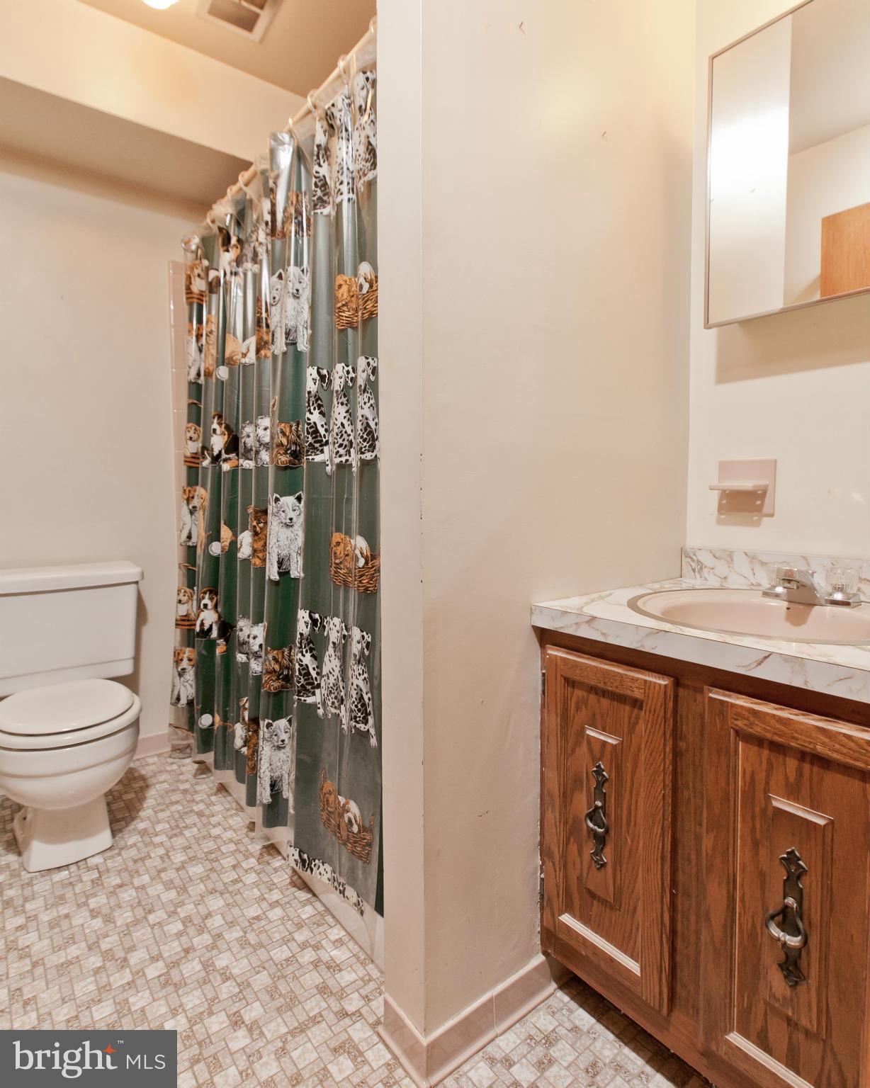 4921 Buffalo Road Mount Airy, MD 21771 - Photo 30 of 30 Basement