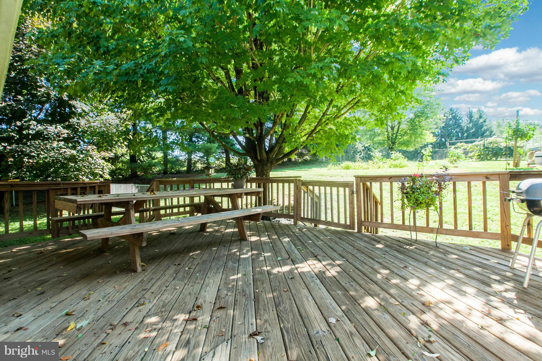 4921 Buffalo Road Mount Airy, MD 21771 - Photo 6 of 30 Exterior (Rear)