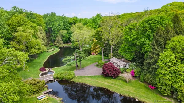 a picture of trees and flowers