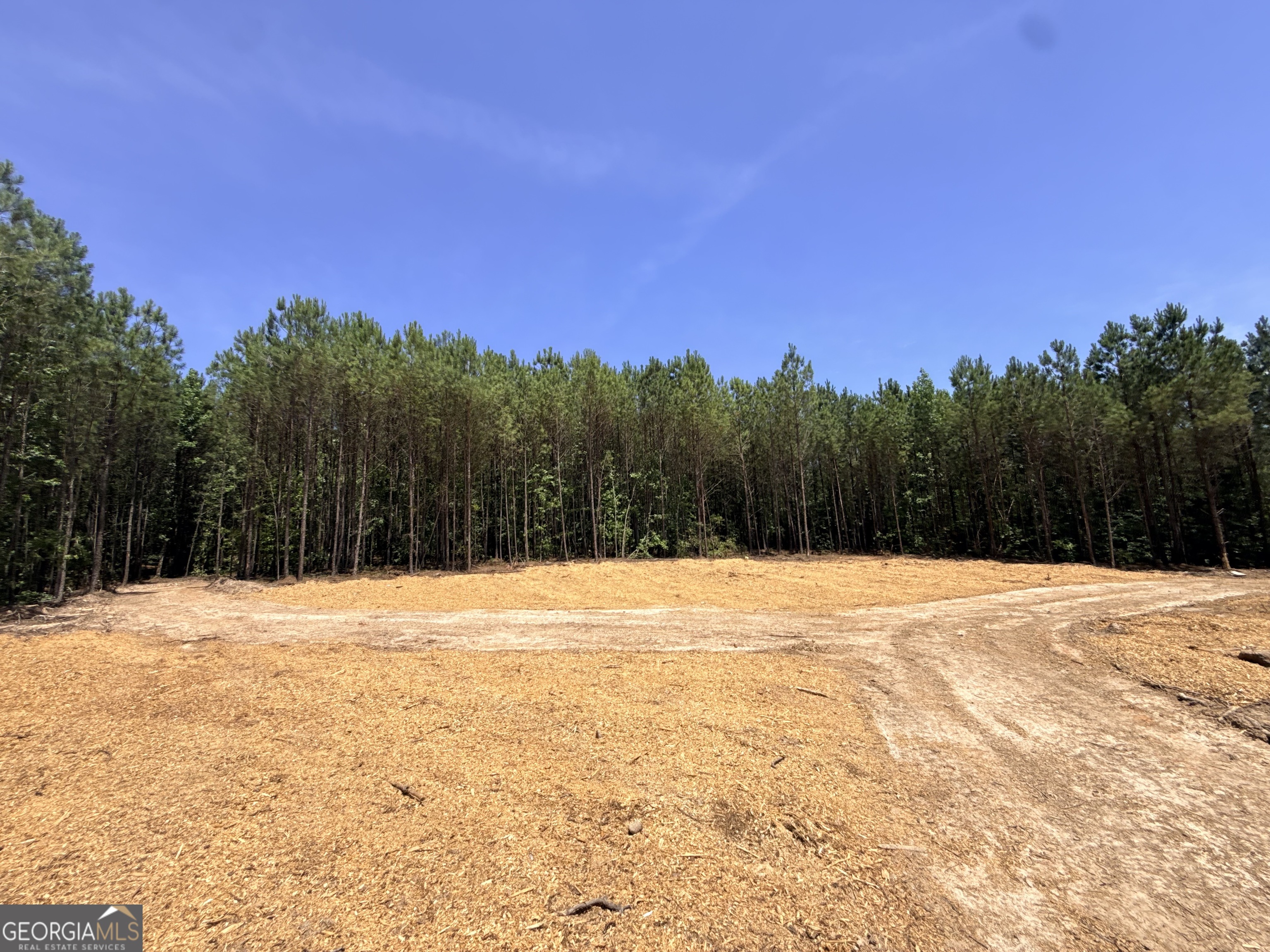 2787 Cedar Creek Road Elberton, GA 30635 - Photo 34 of 88