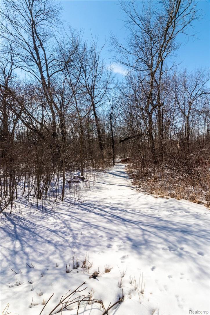 11201 Rolston Road Byron, MI 48418 - Photo 6 of 41 20190309 11201 Rolston Rd_009.jpg