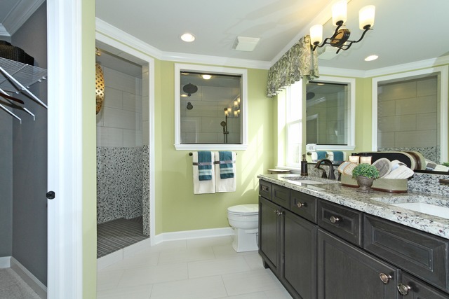 21 Marcel Lane Schaumburg, IL 60194 - Photo 19 of 22 a spacious bathroom with a granite countertop sink a toilet a mirror and shower
