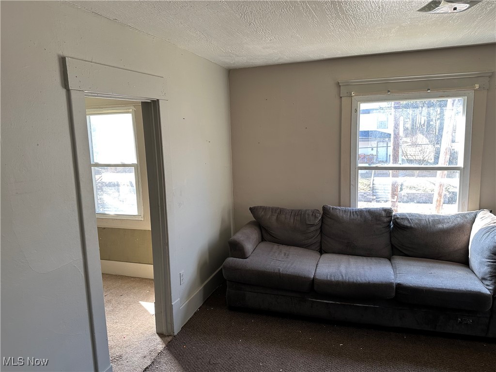 149 Rhodes Avenue Akron, OH 44302 - Photo 8 of 16