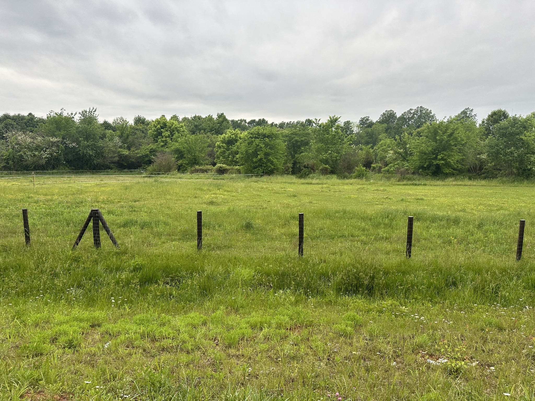 0 Will Hickerson Road Tullahoma, TN 37388 - Photo 4 of 7 Gallery Image 4