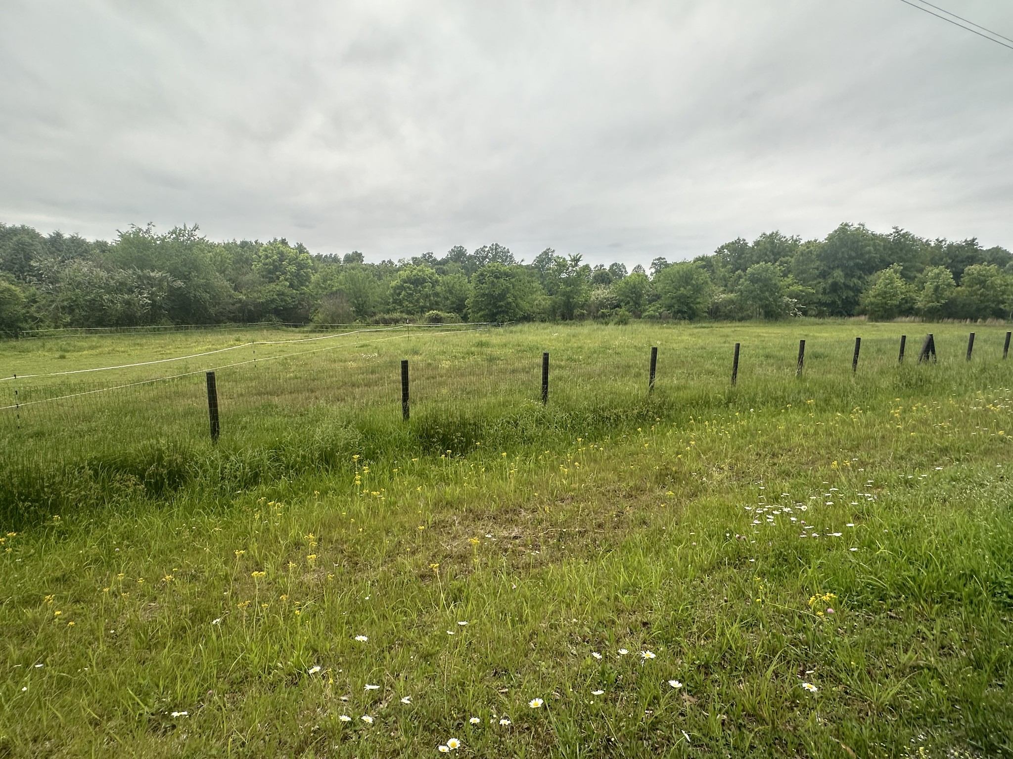 0 Will Hickerson Road Tullahoma, TN 37388 - Photo 5 of 7 Gallery Image 5