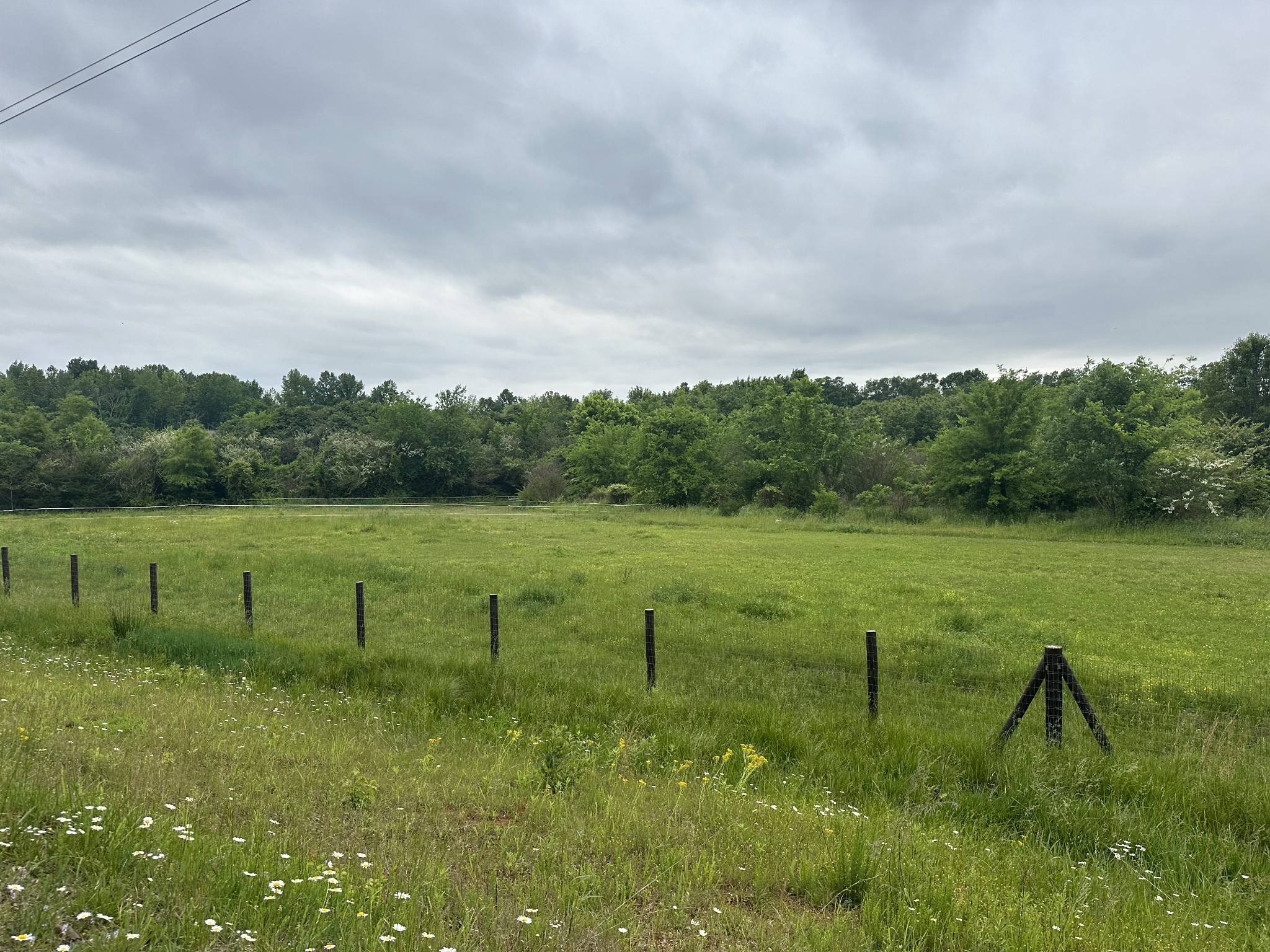 0 Will Hickerson Road Tullahoma, TN 37388 - Photo 6 of 7 Gallery Image 6