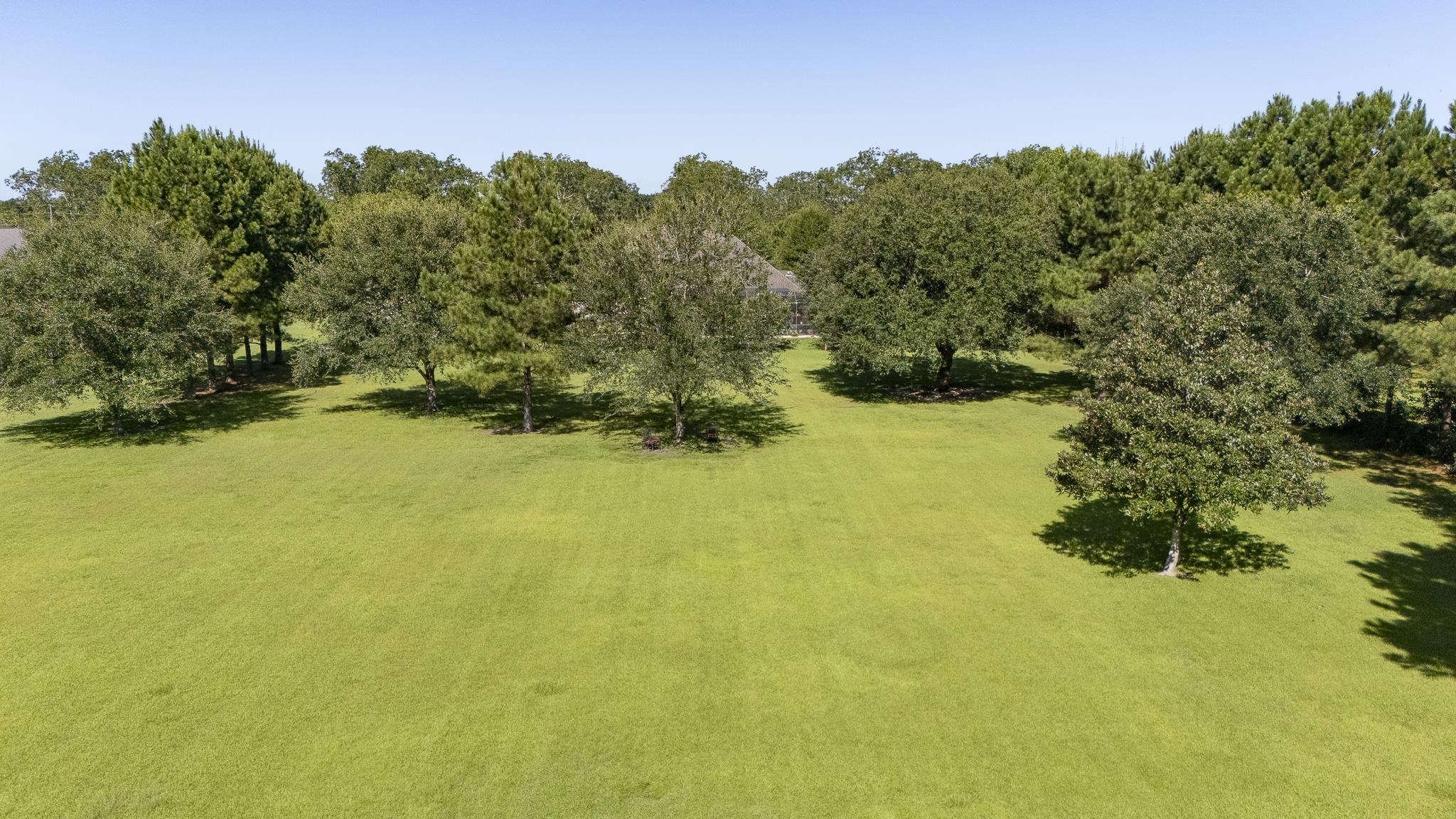 25212 Austin Road Daphne, AL 36526 - Photo 8 of 56 Yard