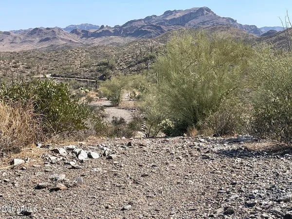 $1,290,000 | 3246 North Silver Tip Trail, Gold Canyon, AZ 85118