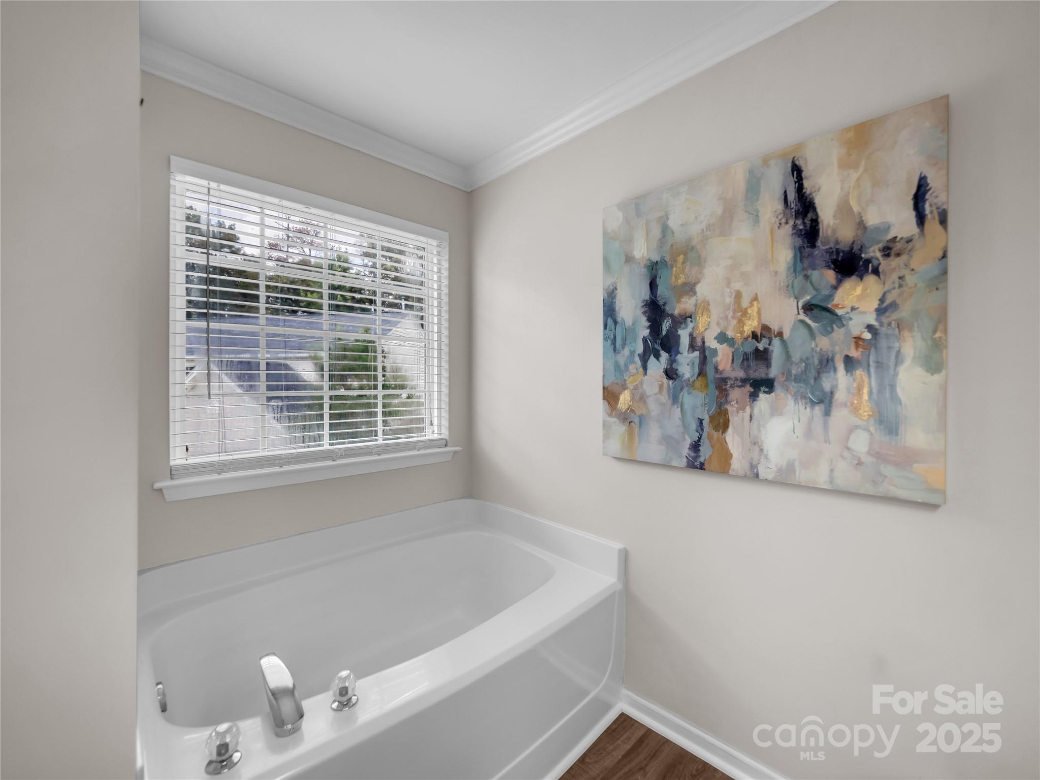 4113 Edgeview Drive Indian Trail, NC 28079 - Photo 18 of 28 a bath tub sitting next to a window