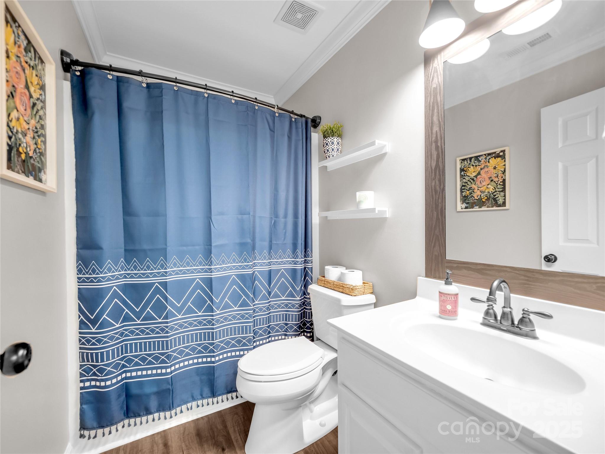 4113 Edgeview Drive Indian Trail, NC 28079 - Photo 21 of 28 a bathroom with a sink a toilet and mirror
