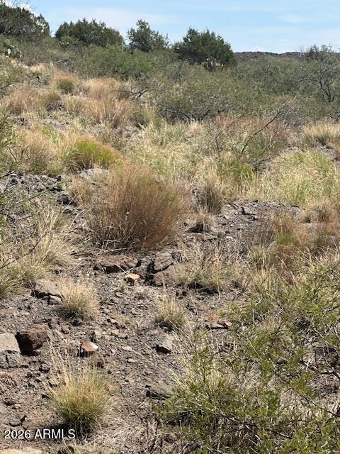 15450 East Upper Ridge Lane, Unit 110 Mayer, AZ 86333 - Photo 16 of 35