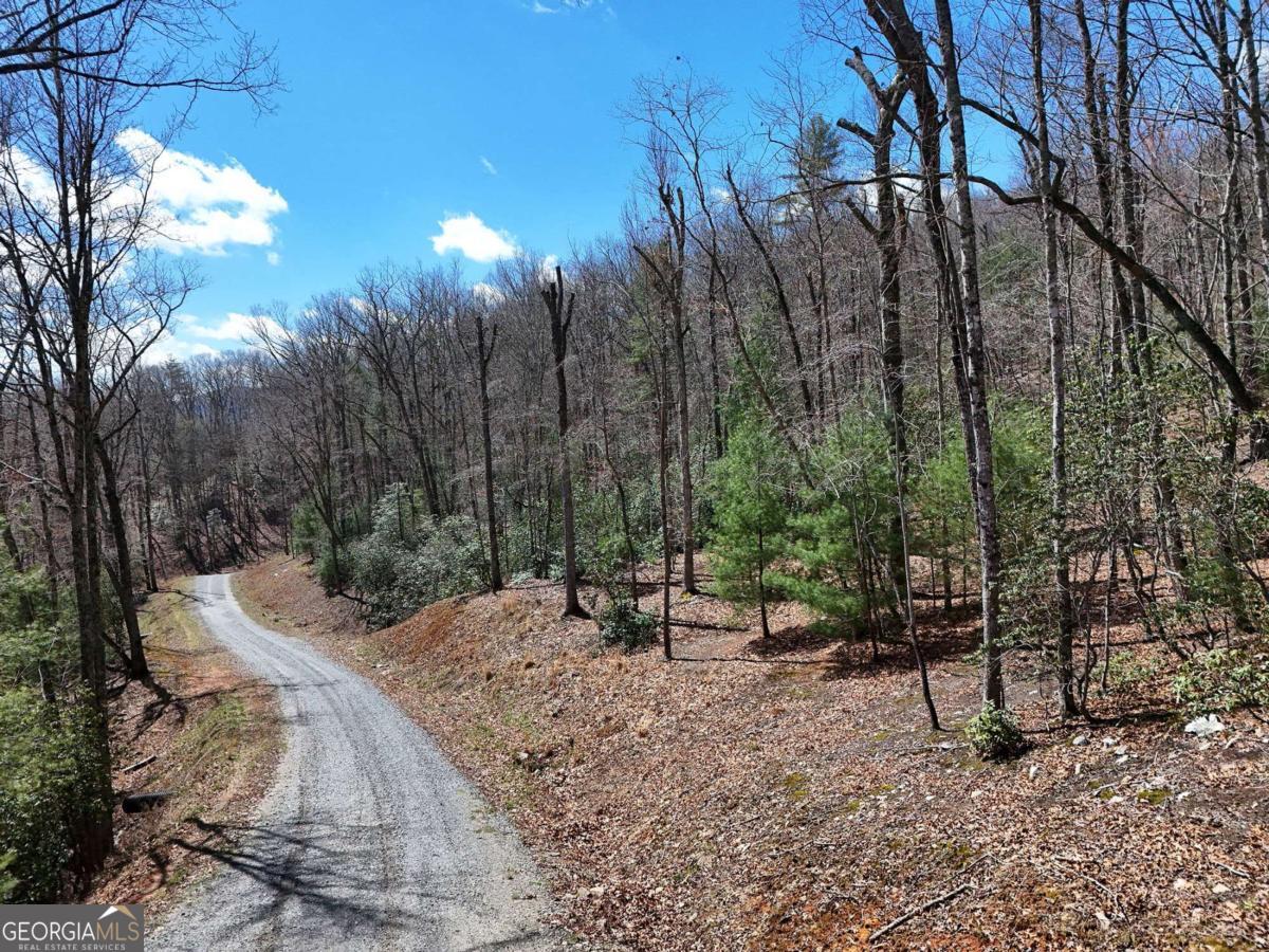 Lot 9 Native Trail Cherry Log, GA 30513 - Photo 3 of 10