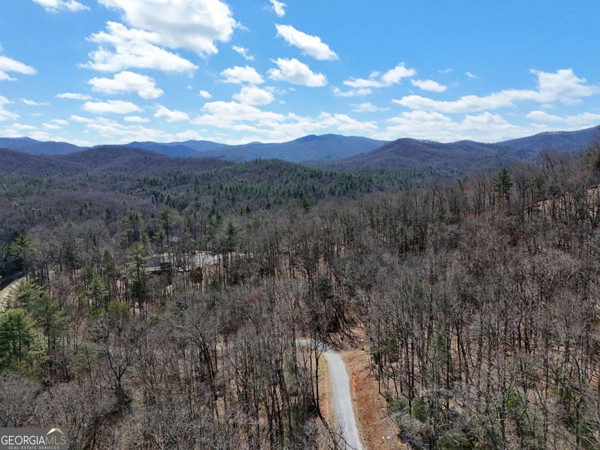 Lot 9 Native Trail Cherry Log, GA 30513 - Photo 9 of 10