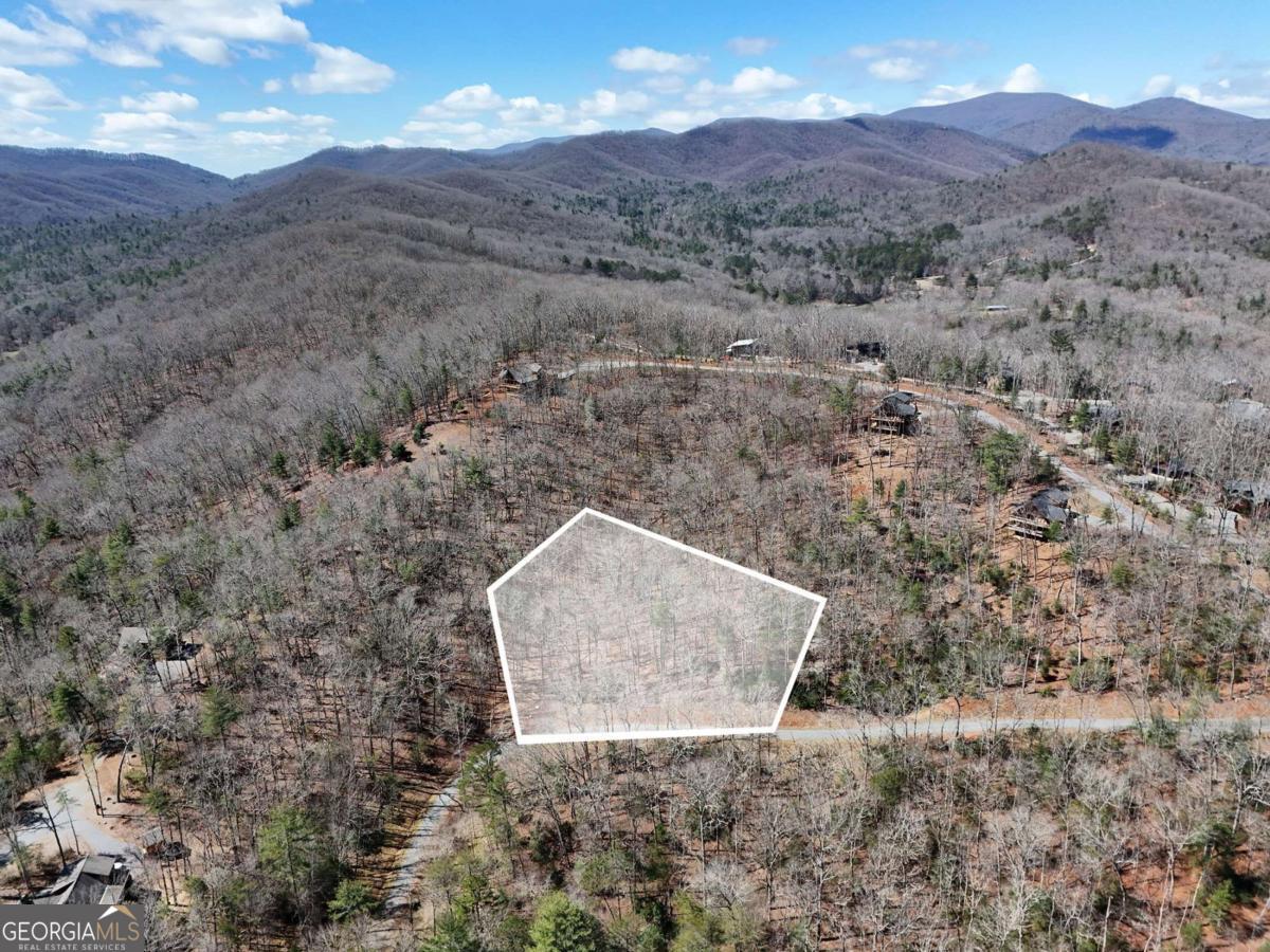 Lot 9 Native Trail Cherry Log, GA 30513 - Photo 10 of 10