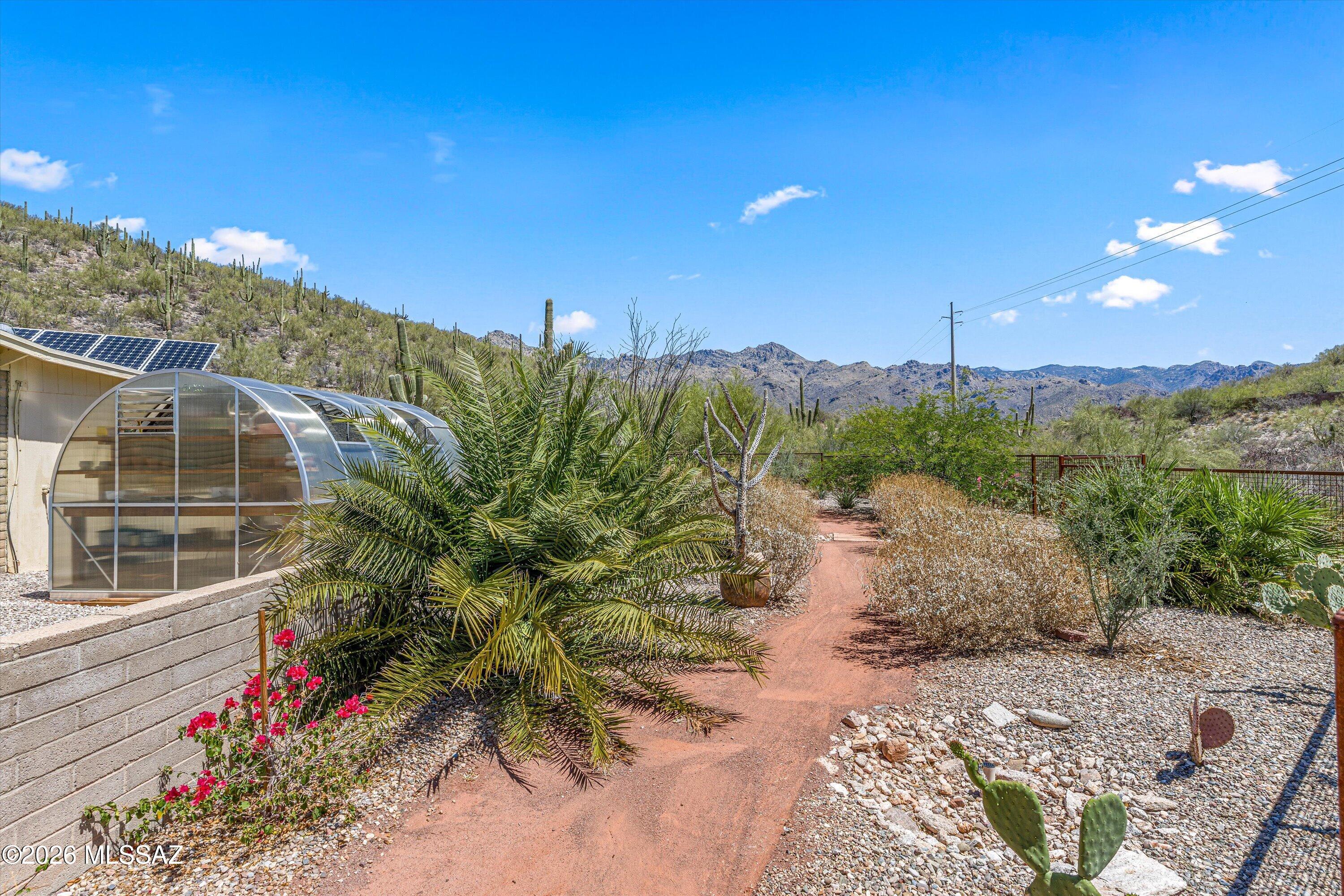 7281 East Rocky Ridge Drive Tucson, AZ 85750 - Photo 36 of 51