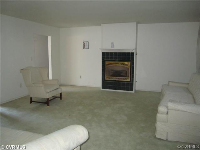 7400 Soap Stone Road Jetersville, VA 23083 - Photo 5 of 12 Den/Family/Great Room - Close up View of Family Ro