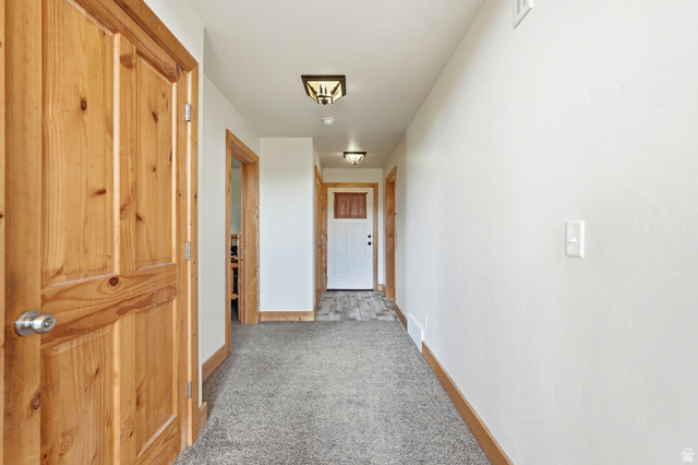 306 Spring Road Preston, ID 83263 - Photo 27 of 55 Carpeted hallway with wood-finish doors and trim, white walls, and flush-mount ceiling lighting