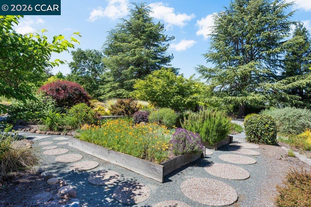 26 Rio Del Court Danville, CA 94526 - Photo 46 of 65