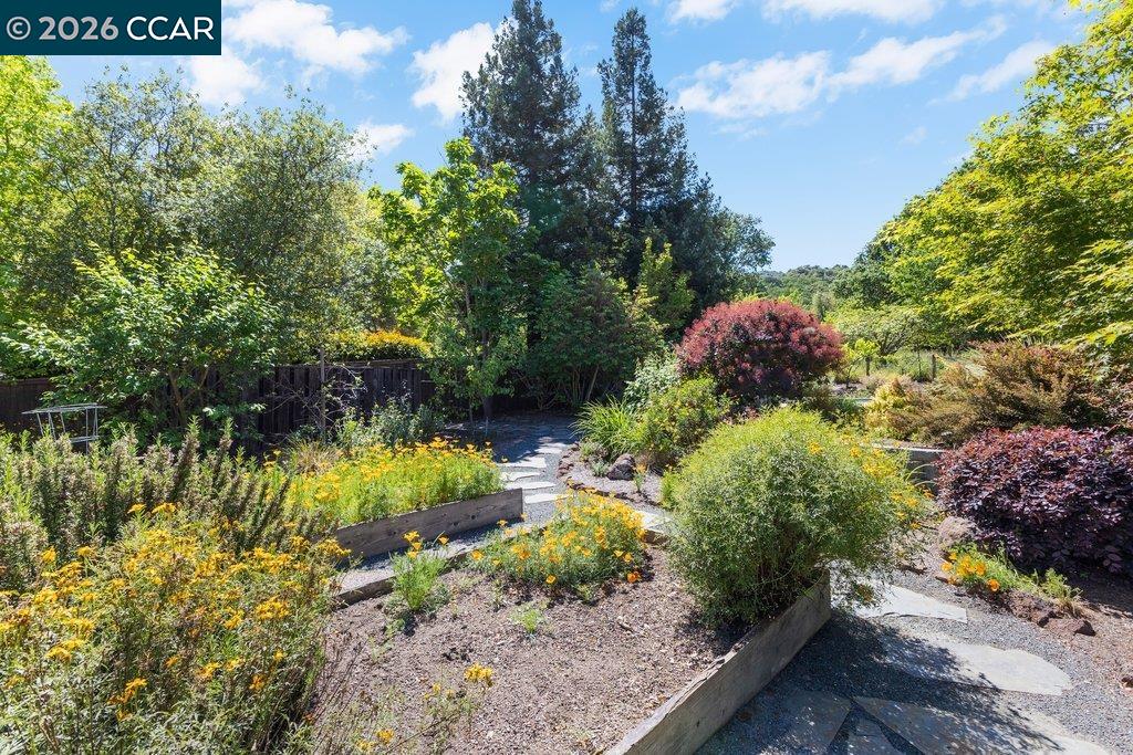 26 Rio Del Court Danville, CA 94526 - Photo 59 of 65