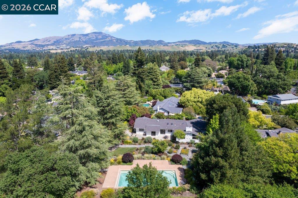 26 Rio Del Court Danville, CA 94526 - Photo 61 of 65