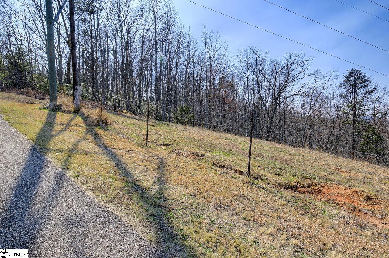 239 View Point Road, Unit LOT 1 Pickens, SC 29671 - Photo 11 of 30