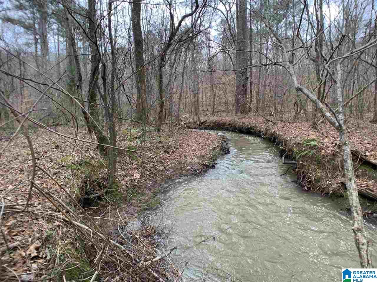 0 Possum Trot Road Piedmont, AL 36272 - Photo 6 of 13