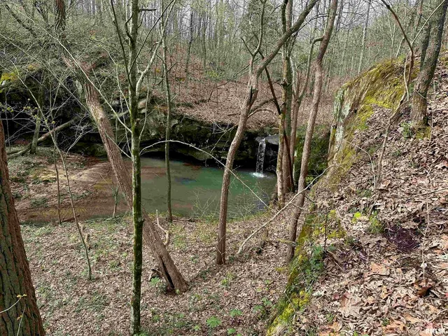 $739,000 | 415 Pin Oak Lane, Cypress, IL 62923