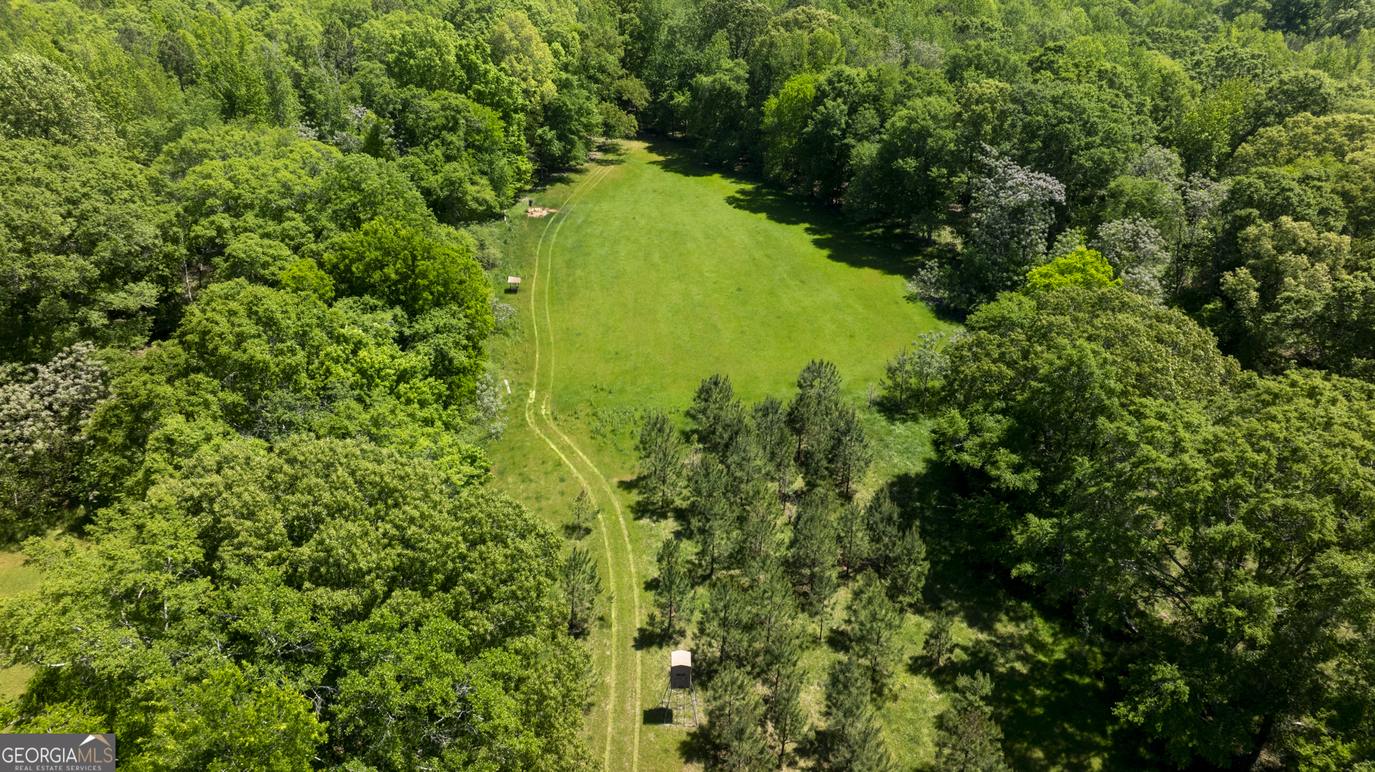98 Acres /- George Smith Talbotton, GA 31827 - Photo 11 of 23 a view of a garden