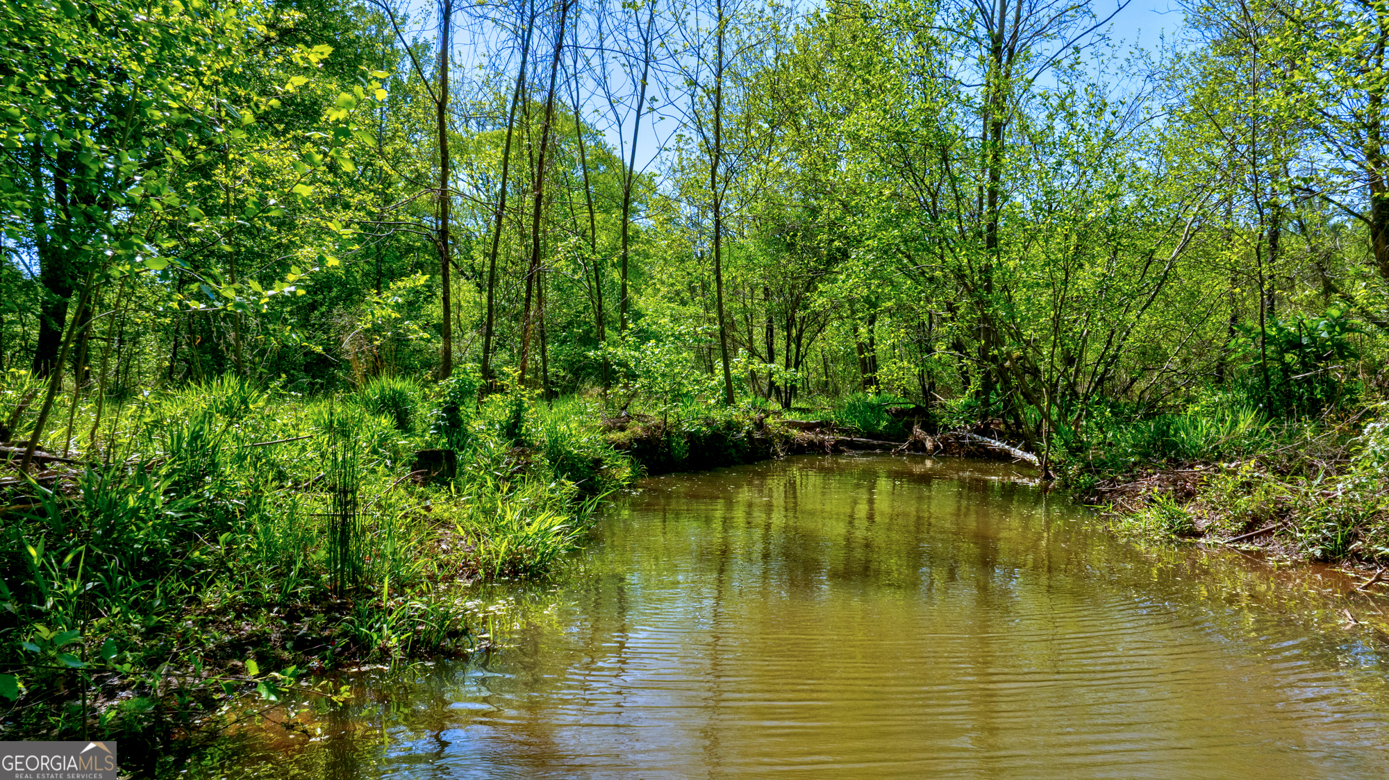 98 Acres /- George Smith Talbotton, GA 31827 - Photo 13 of 23 a view of an ocean view