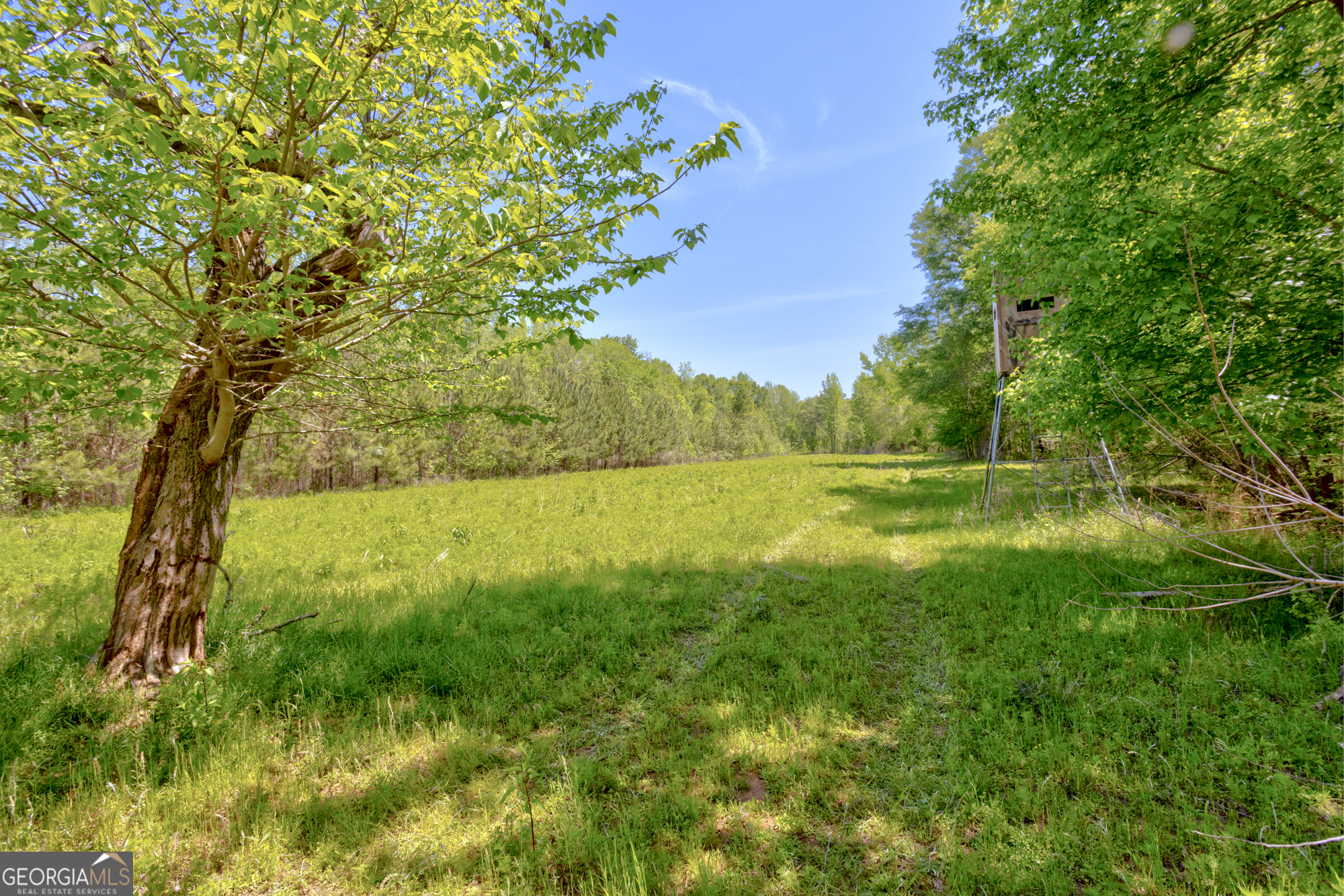 98 Acres /- George Smith Talbotton, GA 31827 - Photo 15 of 23 a view of outdoor space with deck and yard