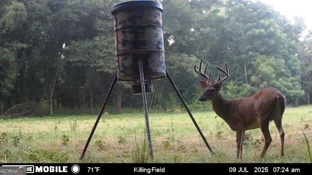 98 Acres /- George Smith Talbotton, GA 31827 - Photo 21 of 23 a view of entryway