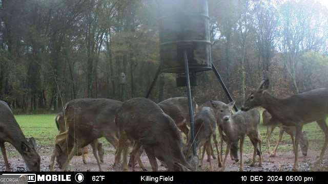 98 Acres /- George Smith Talbotton, GA 31827 - Photo 22 of 23