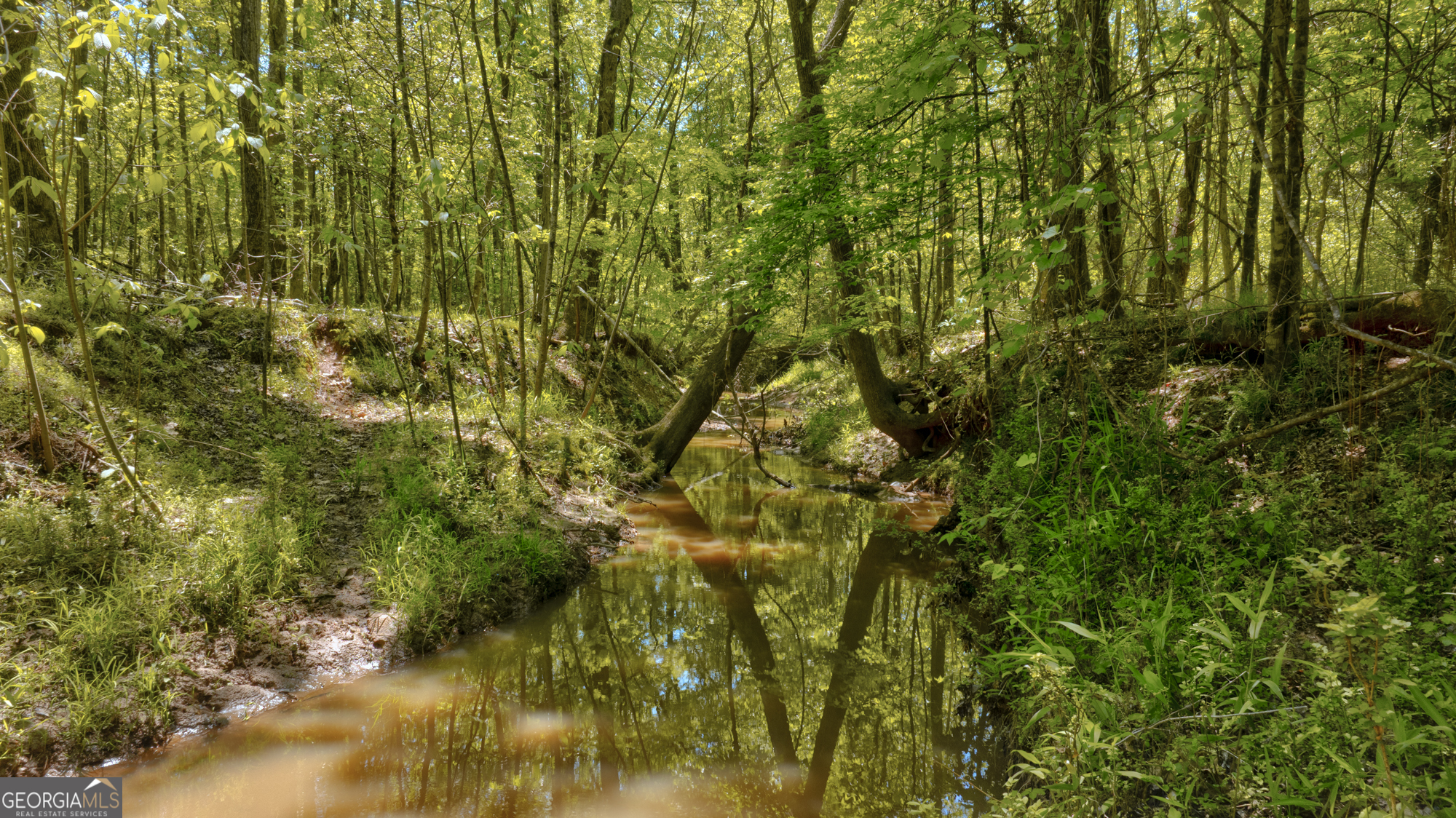 98 Acres /- George Smith Talbotton, GA 31827 - Photo 3 of 23 a view of a yard