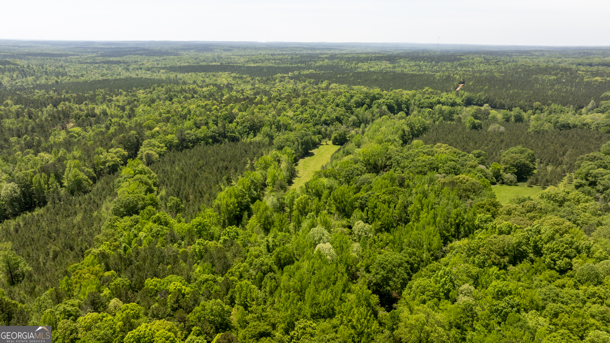 98 Acres /- George Smith Talbotton, GA 31827 - Photo 5 of 23 a view of a green field with lots of bushes